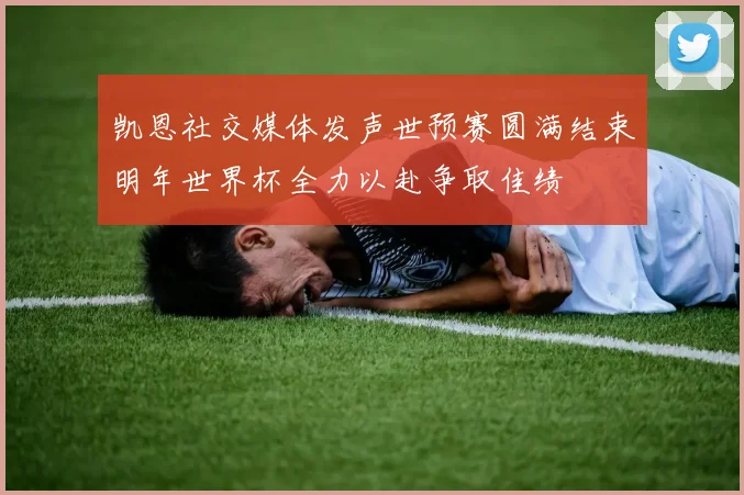 凯恩社交媒体发声世预赛圆满结束明年世界杯全力以赴争取佳绩