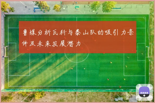 鲁媒分析瓦科与泰山队的吸引力条件及未来发展潜力
